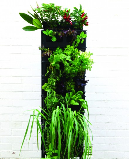 Sydney Design edible walls via we-are-scout.com