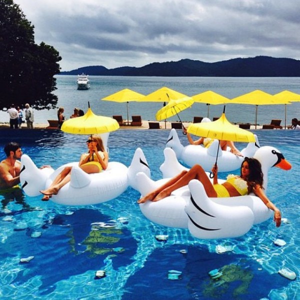Swimming Inflatable Toy Giant Swan Floating Pool Lake New