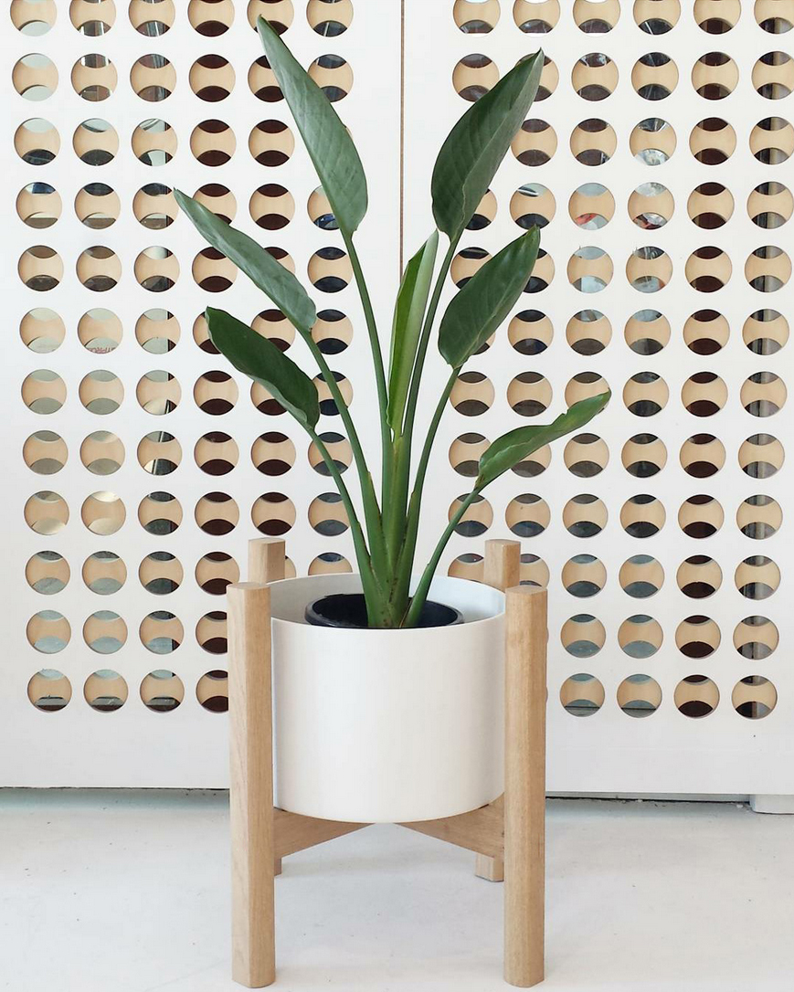 SHOPPING GUIDE: The 16 best planters to buy online - We Are Scout