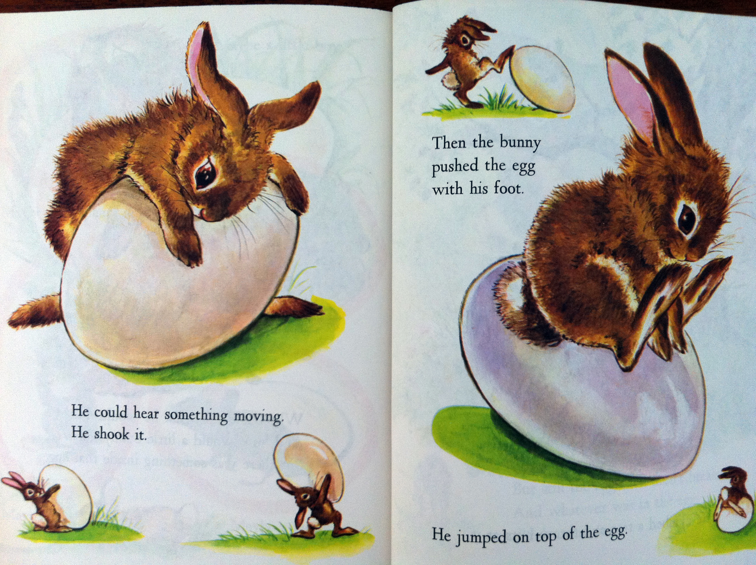 Bunny book. Easter Bunny book. Best Bunny book. Книга тайни Банни.