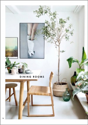FREE! Our New e-Mag: Decorating with Plants - We Are Scout
