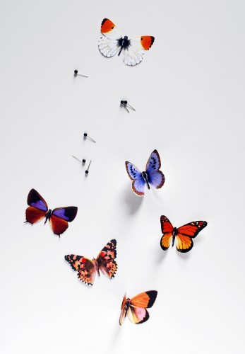 DIY Butterfly push pins with a free printable - We Are Scout